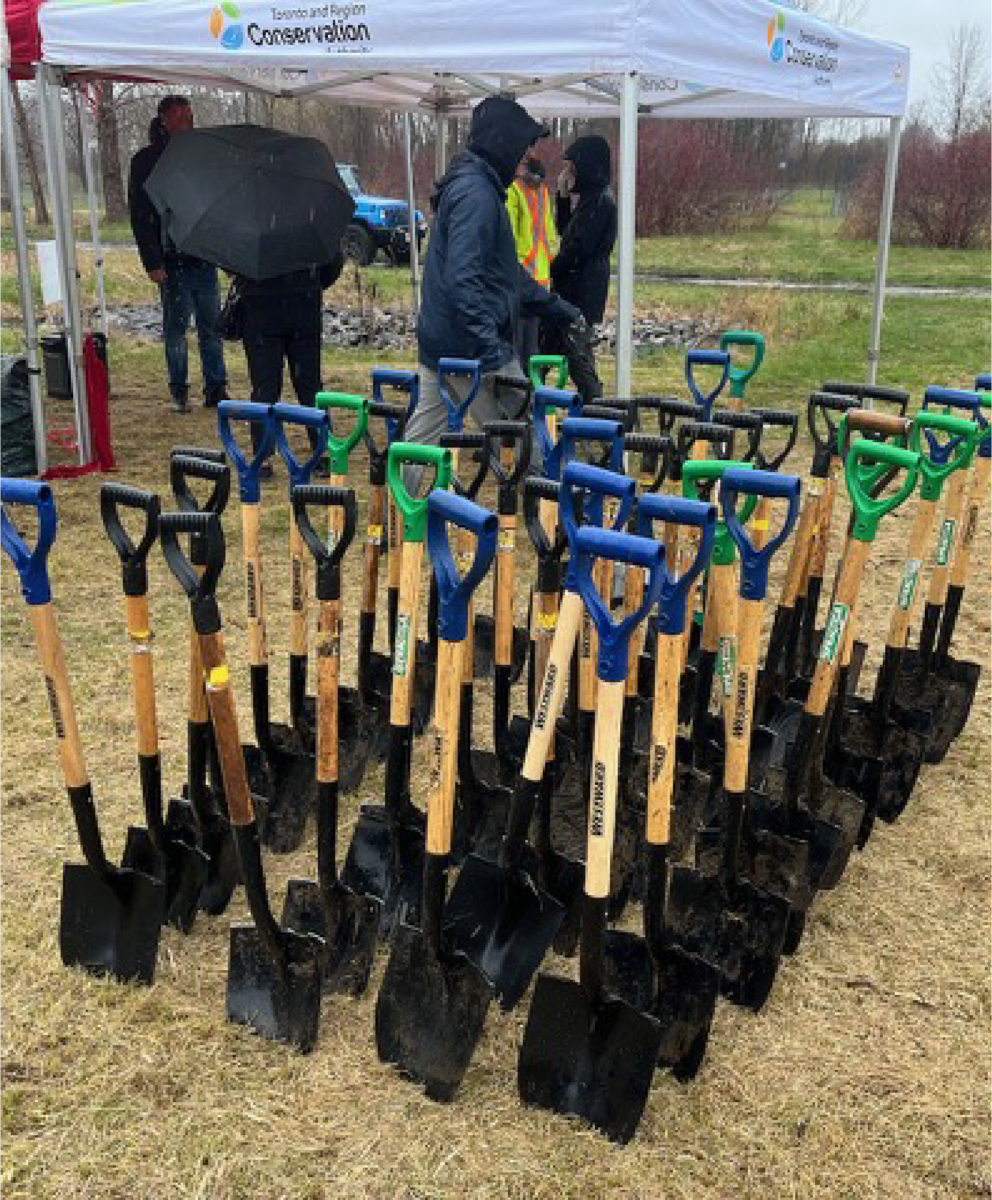 Trees for Life_April 2026_02